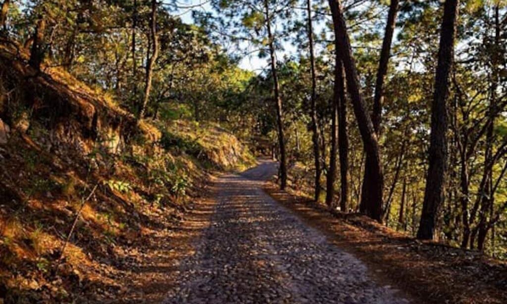 Photo of Outdoor in Juanacatlan