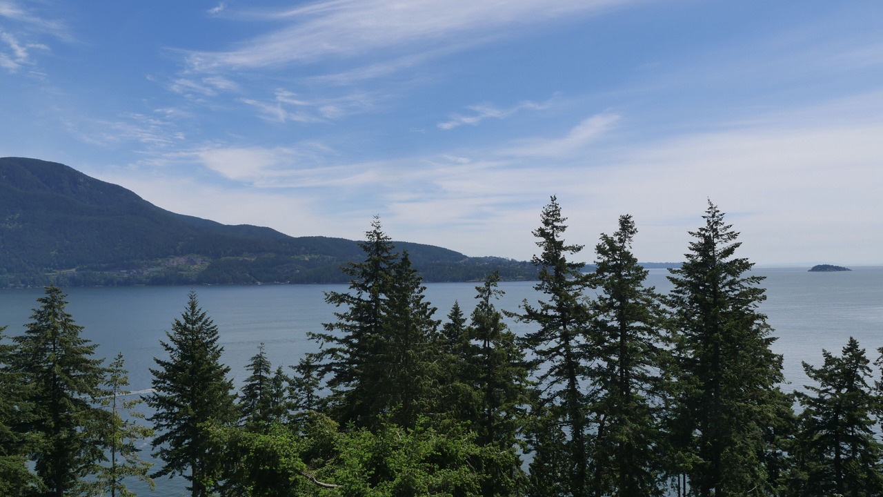Photo of Others in Bowen Island