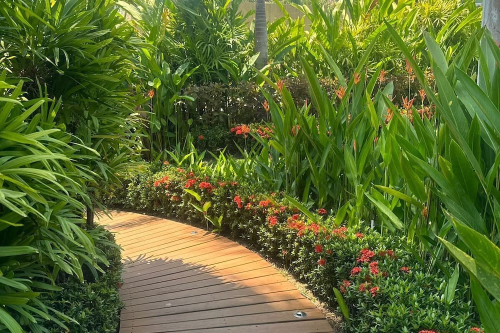 Photo of Outdoor in La Puntilla