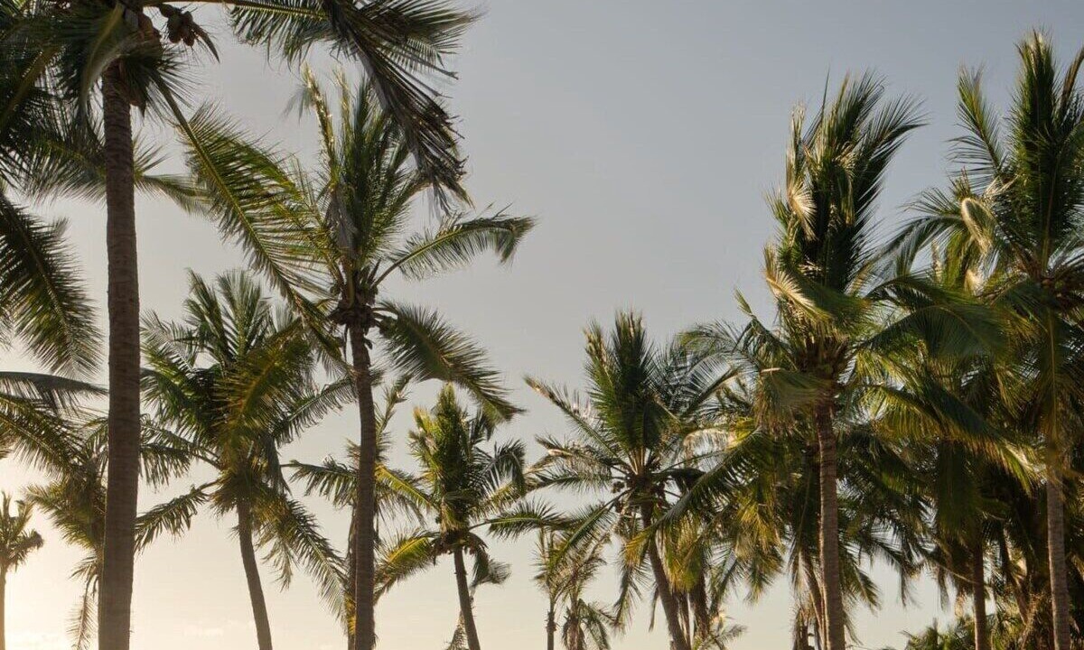 Photo of Others in Barra de Potosi