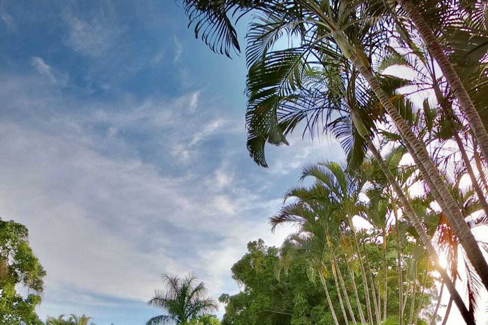 Photo of Outdoor in Xoxocotla
