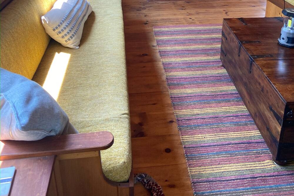 Photo of Livingroom in Friendship