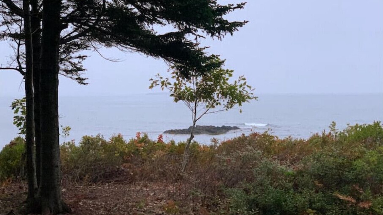Photo of Outdoor in Phippsburg