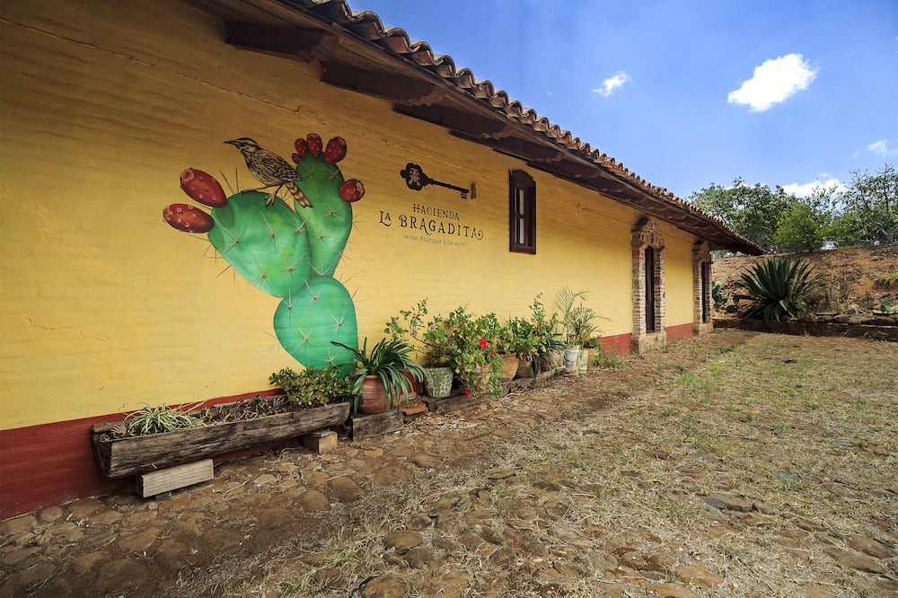 Photo of Outdoor in Mazamitla