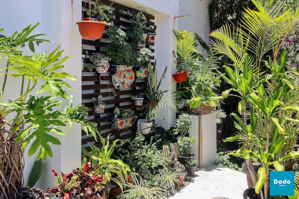 Photo of Outdoor in Balcones de Loma Linda