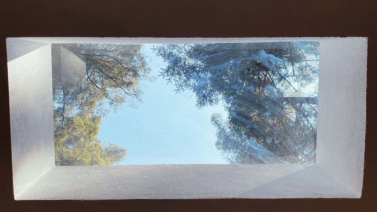Photo of Others in Mineral del Chico