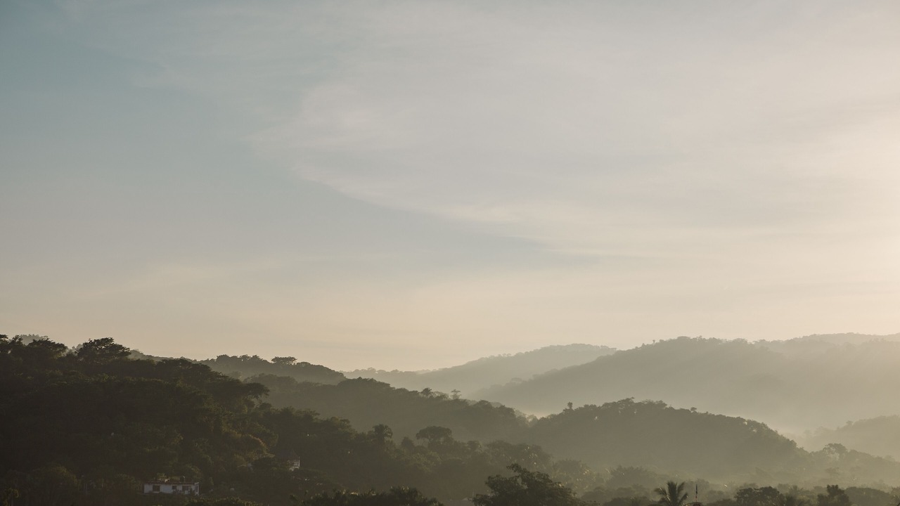 Photo of Others in Sayulita