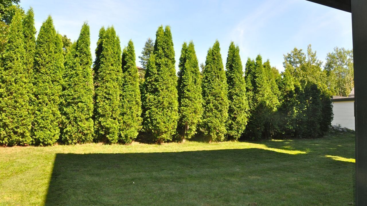Photo of Outdoor in Northeast Harbor