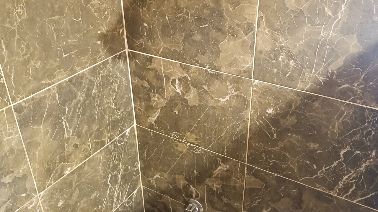 Photo of Bathroom in Rincon de Guayabitos