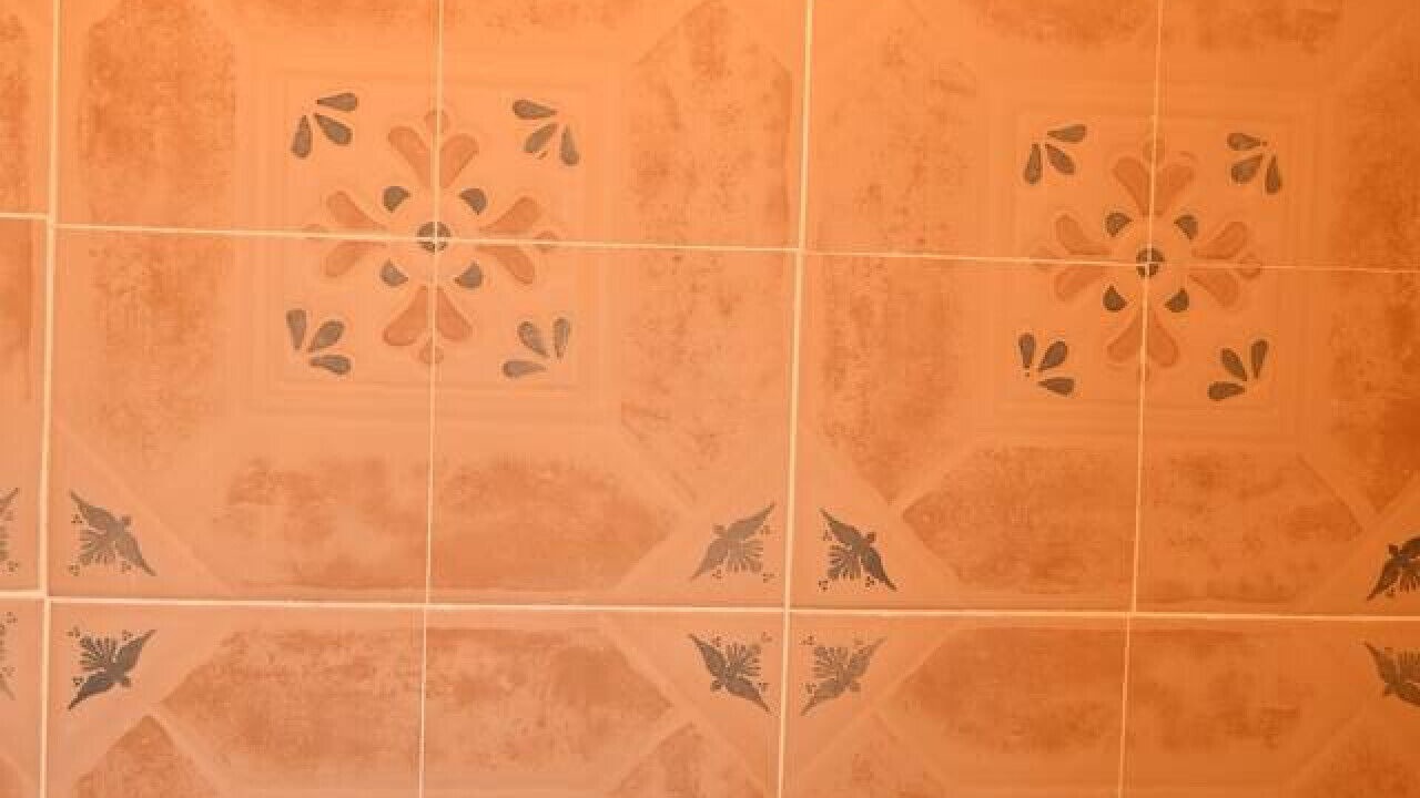 Photo of Bathroom in Alamos