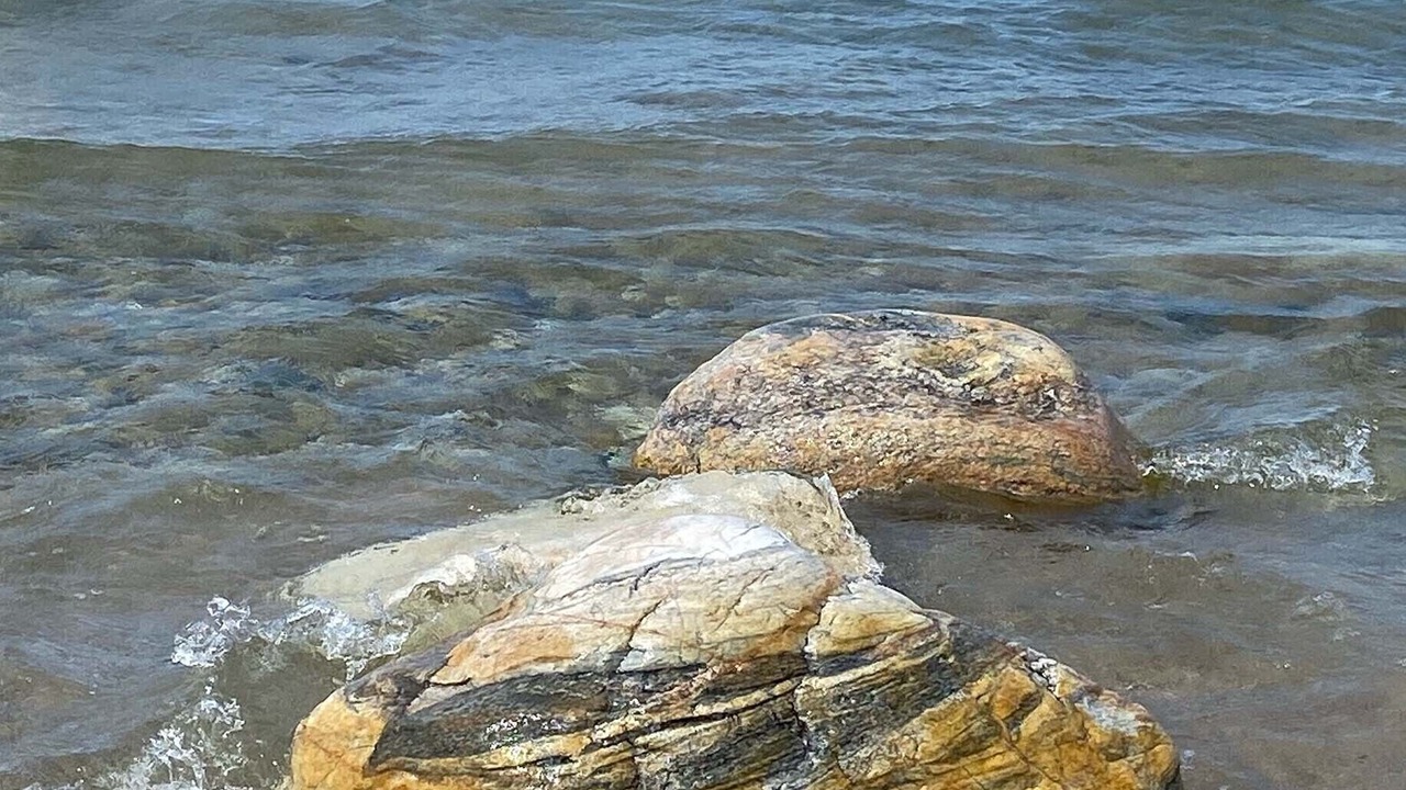 Photo of Others in Good Hart