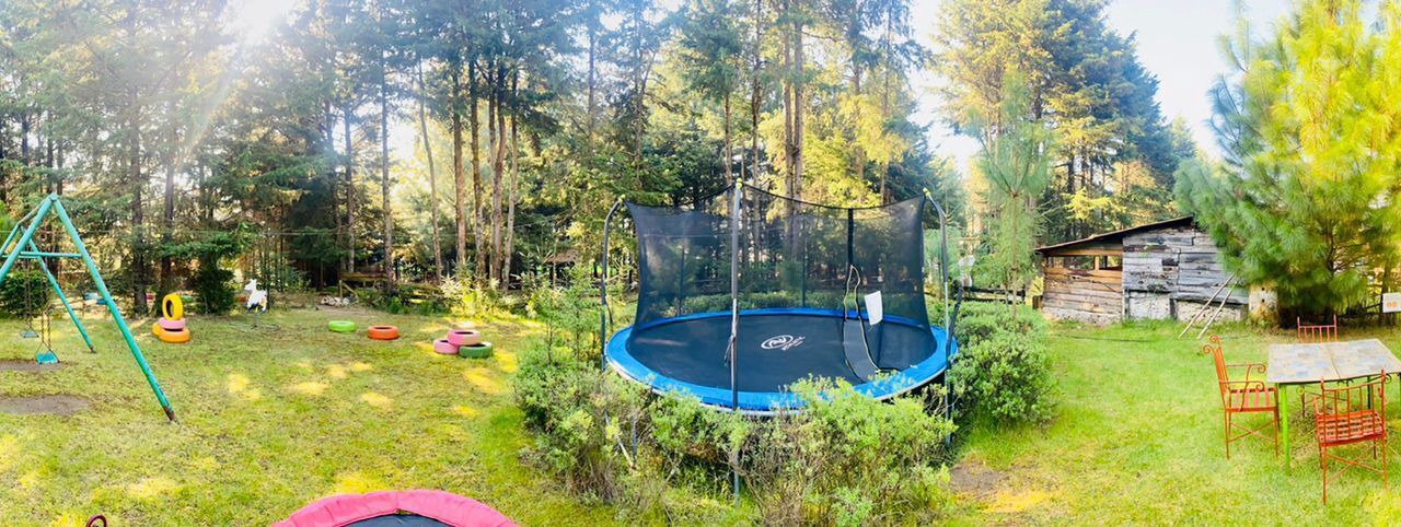 Photo of Outdoor in Ocampo