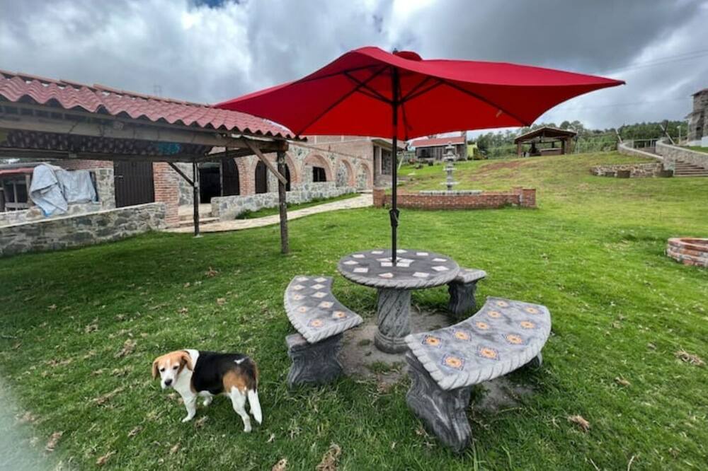 Photo of Outdoor in Zacatlan