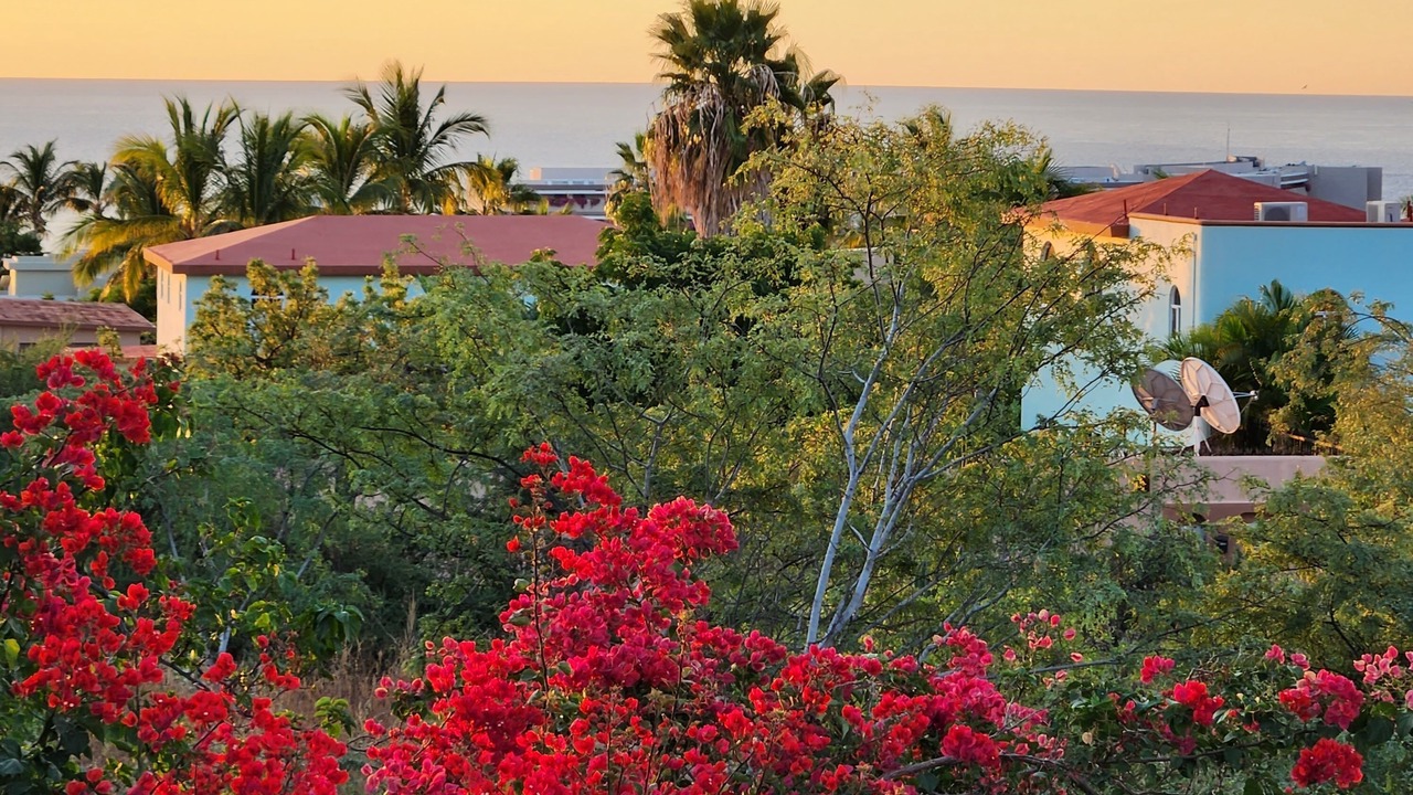 Photo of Outdoor in Chula Vista