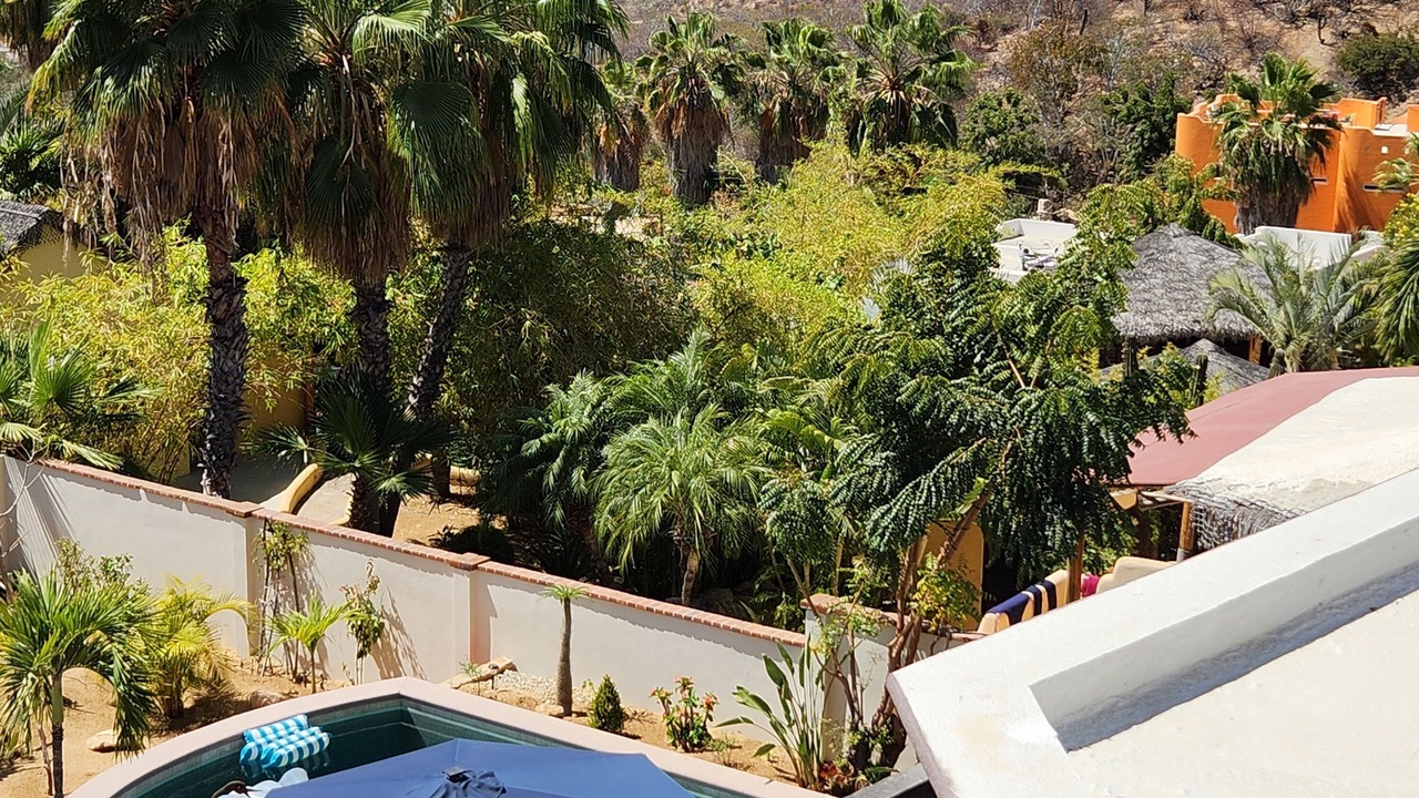 Photo of Outdoor in Chula Vista