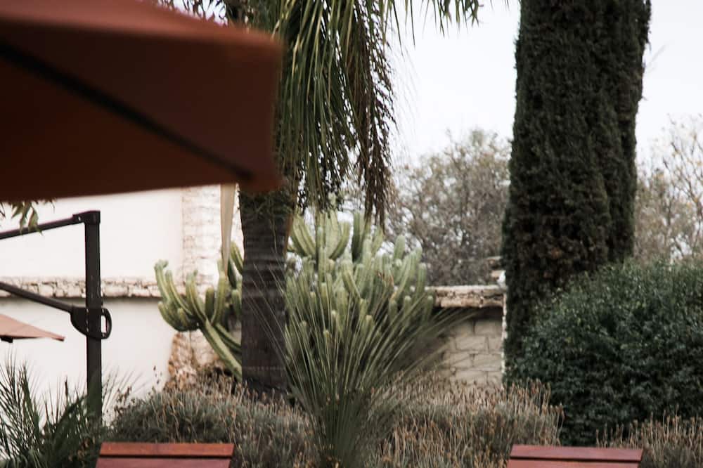 Photo of Outdoor in Pozos
