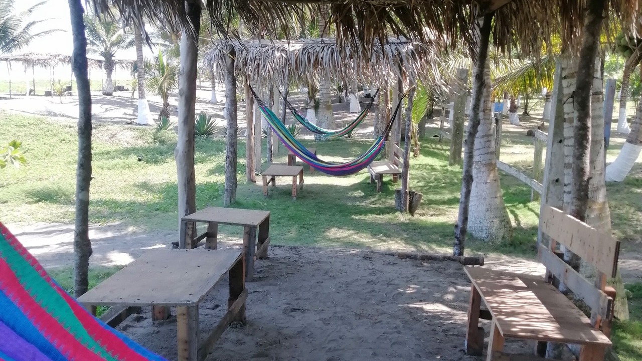 Photo of Others in Monte Gordo