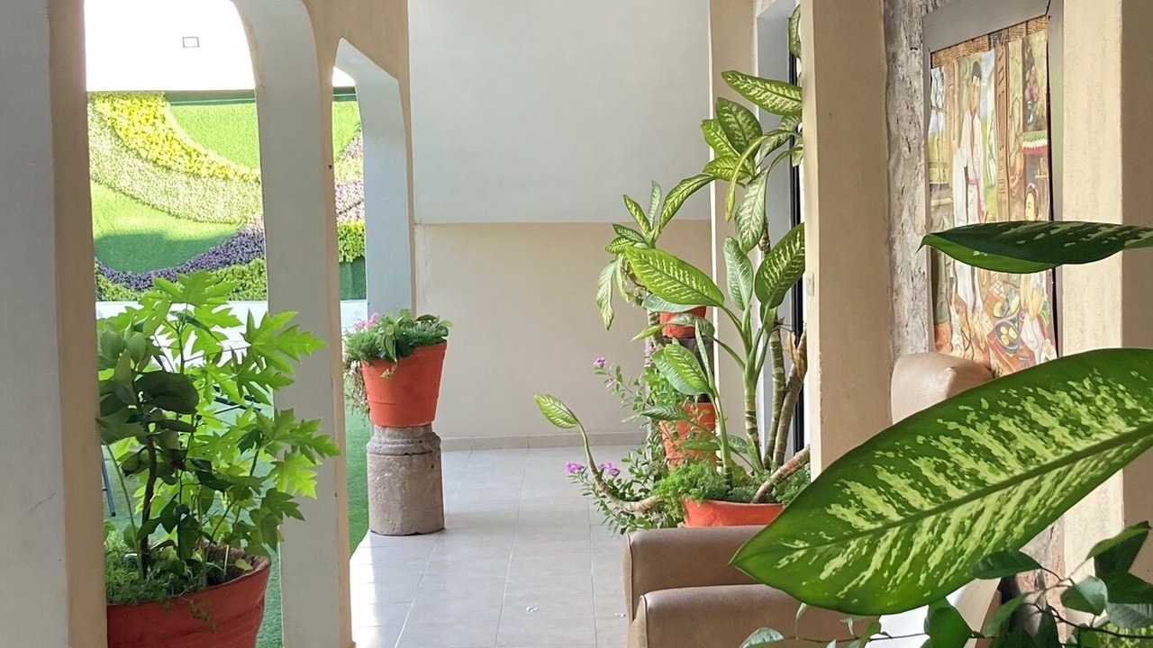Photo of Others in El Fuerte