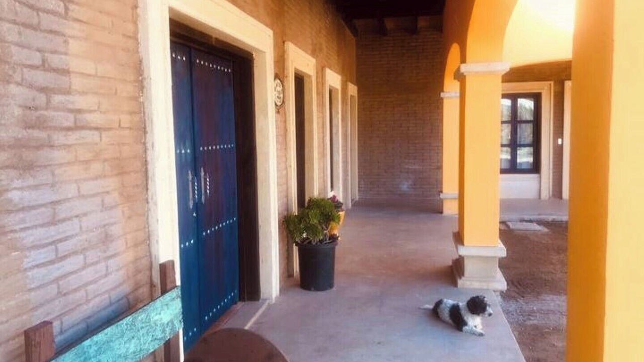Photo of Outdoor in Valle de Guadalupe