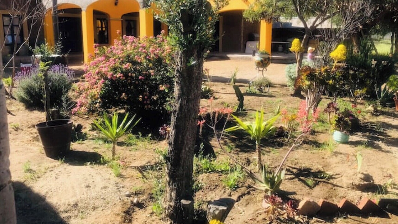 Photo of Outdoor in Valle de Guadalupe