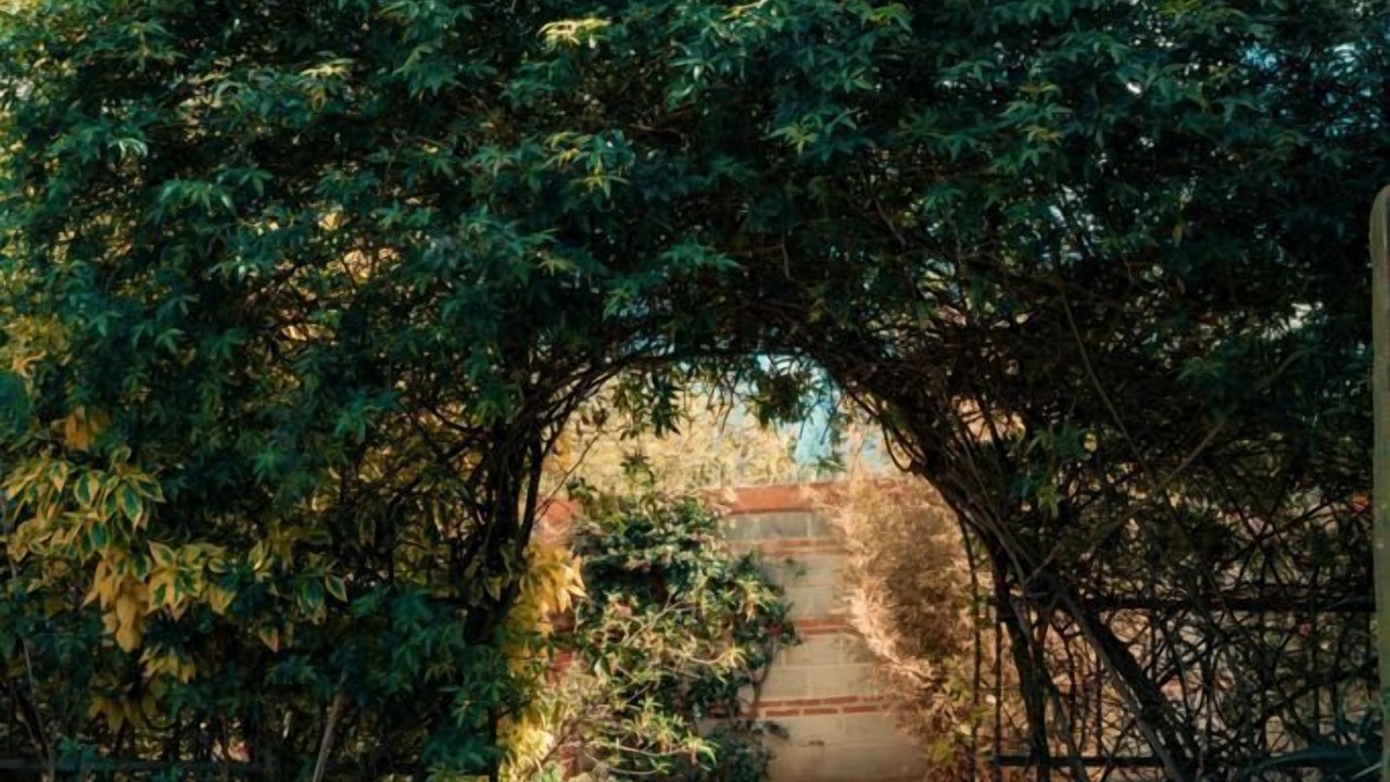 Photo of Outdoor in Tequisquiapan