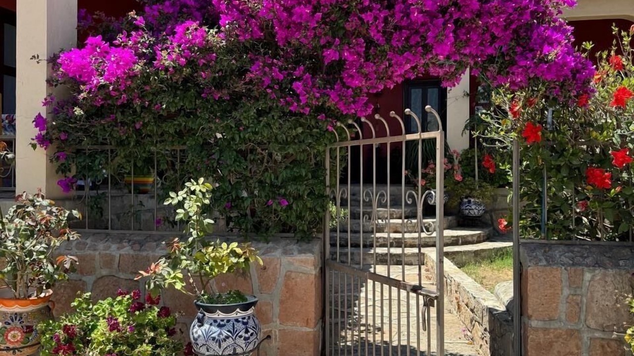 Photo of Outdoor in Tequisquiapan