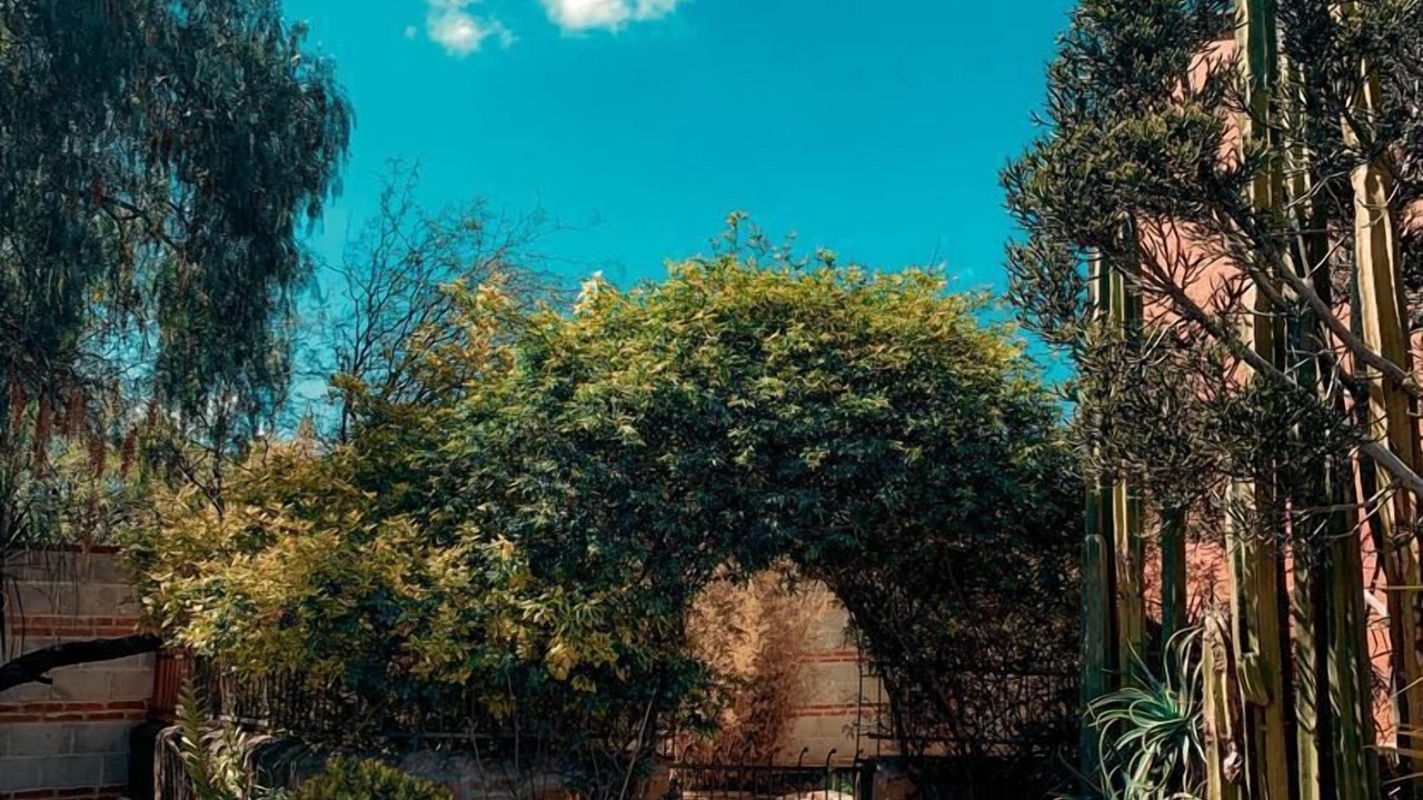Photo of Outdoor in Tequisquiapan