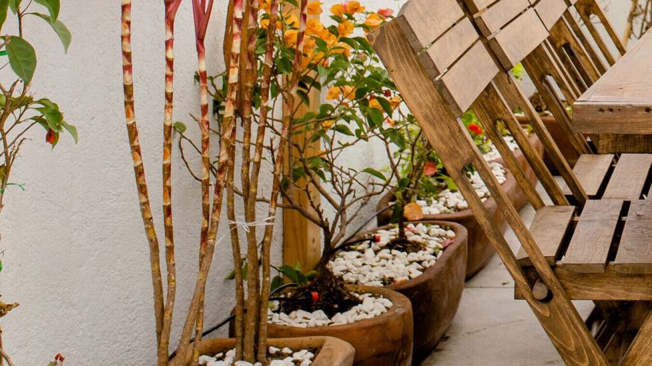 Photo of Patio Balcony in Zona Rosa