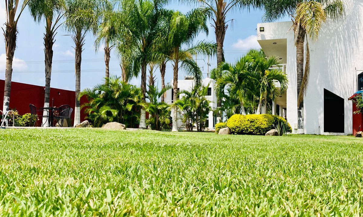 Photo of Outdoor in Cuautla