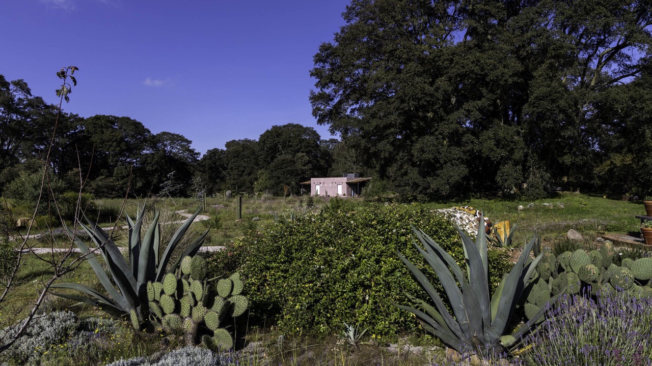 Photo of Outdoor in Canaleja
