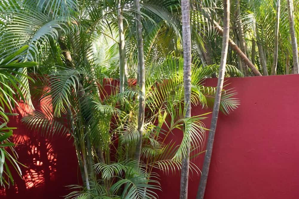 Photo of Outdoor in Punta de Mita