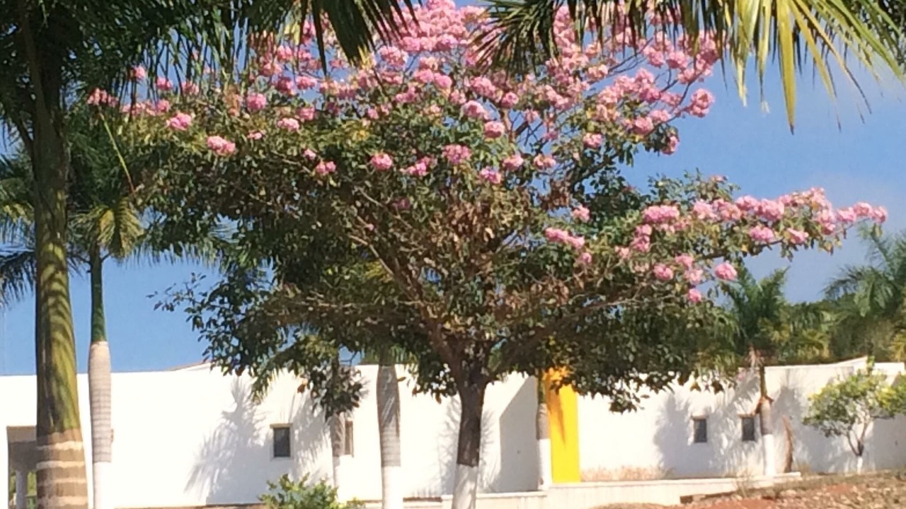 Photo of Outdoor in Santa Cruz
