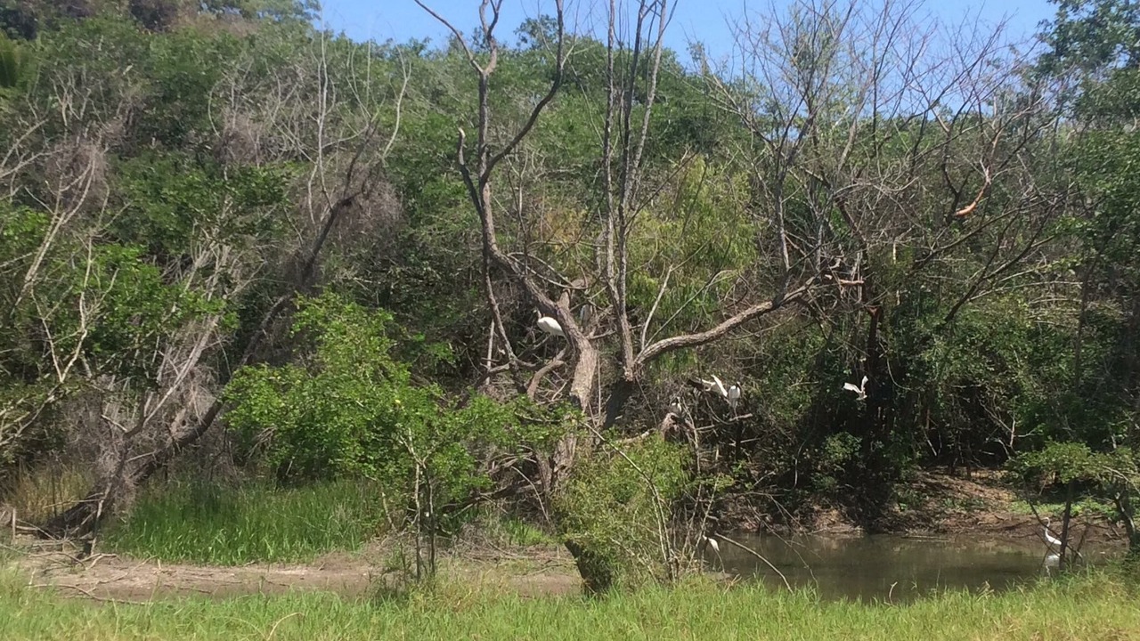 Photo of Outdoor in Santa Cruz