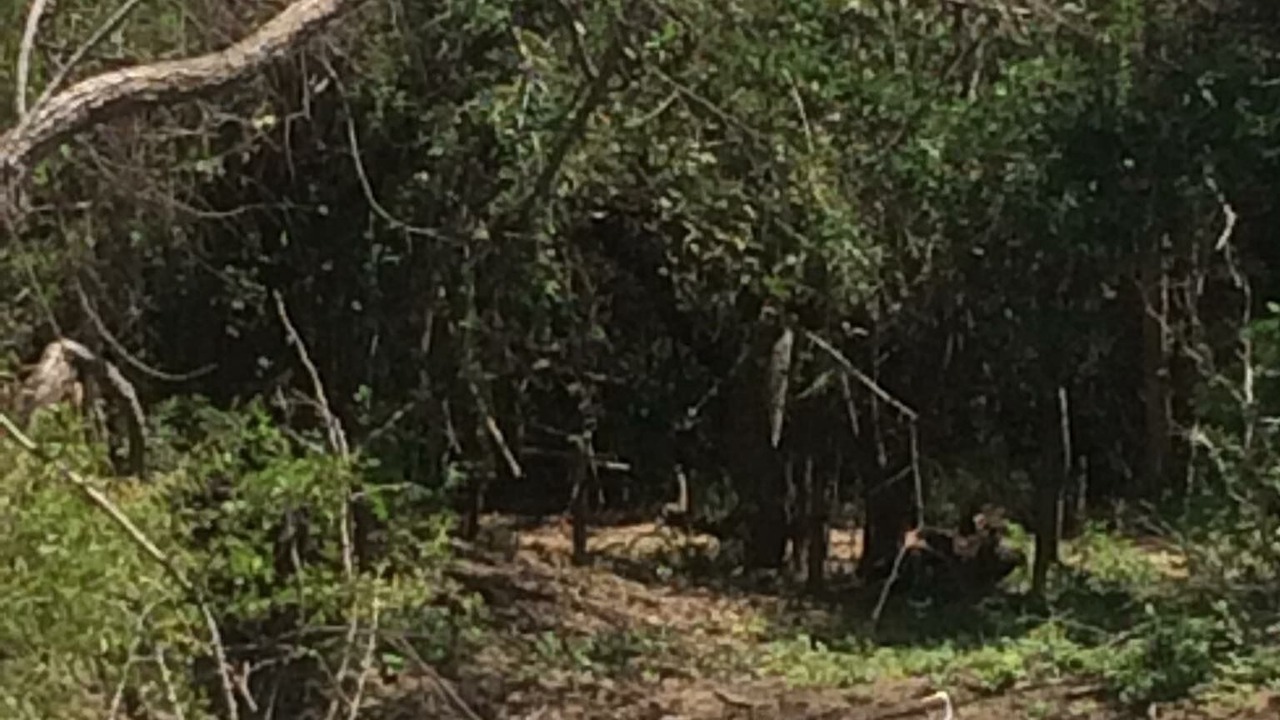 Photo of Outdoor in Santa Cruz