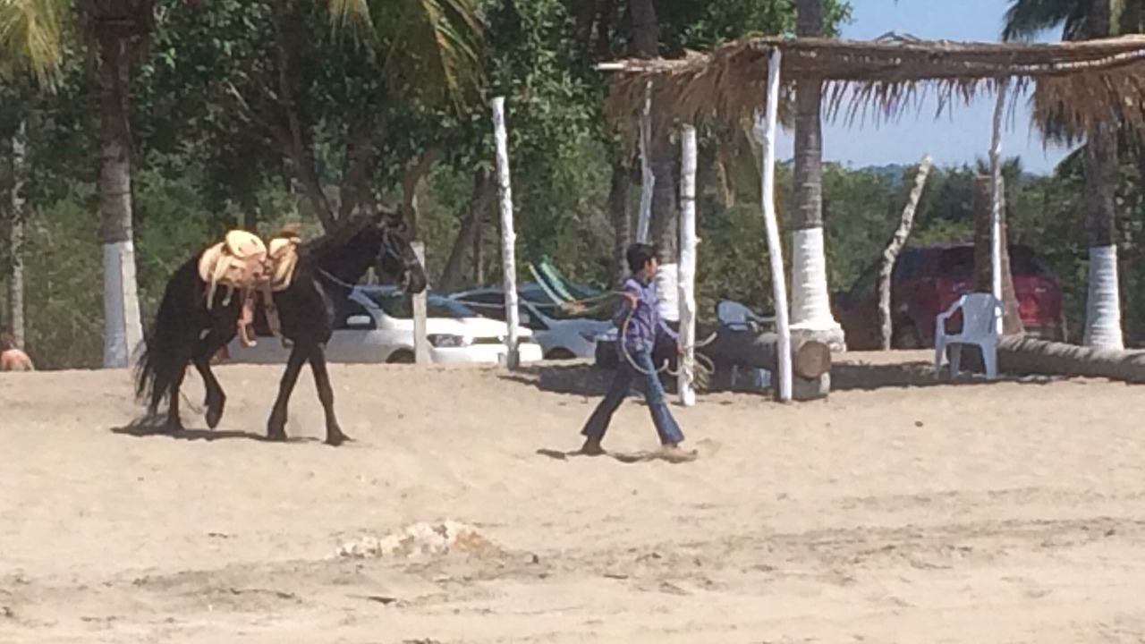 Photo of Others in Santa Cruz