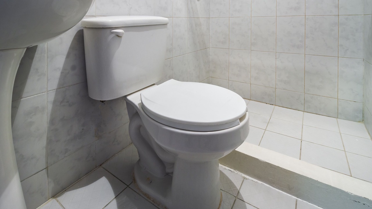 Photo of Bathroom in Zona Expo