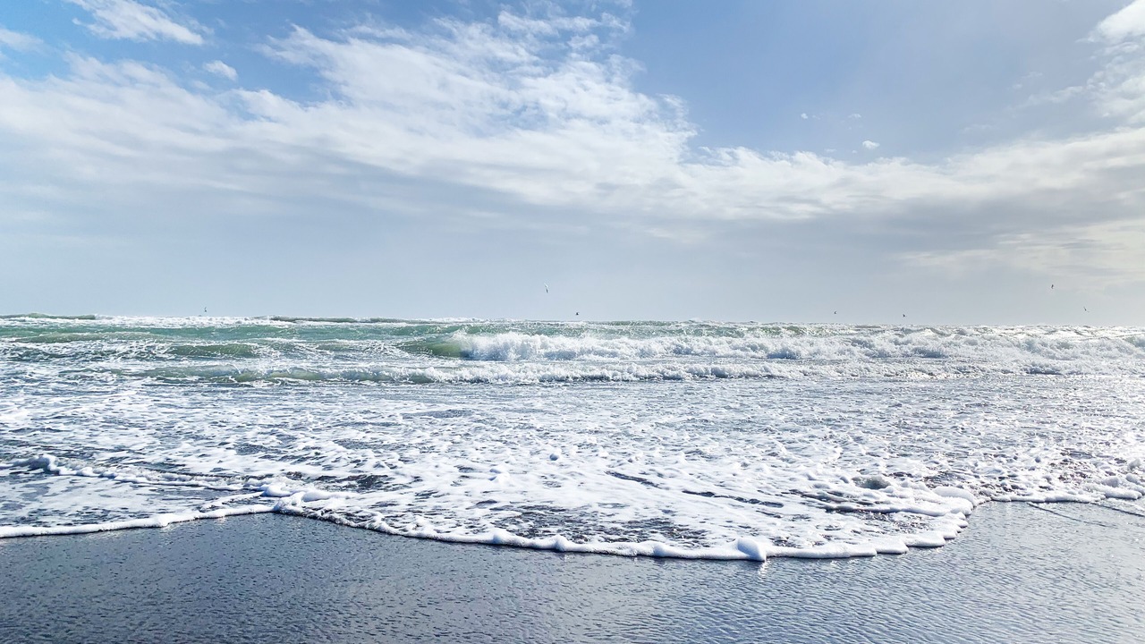 Photo of Others in Playa Chachalacas