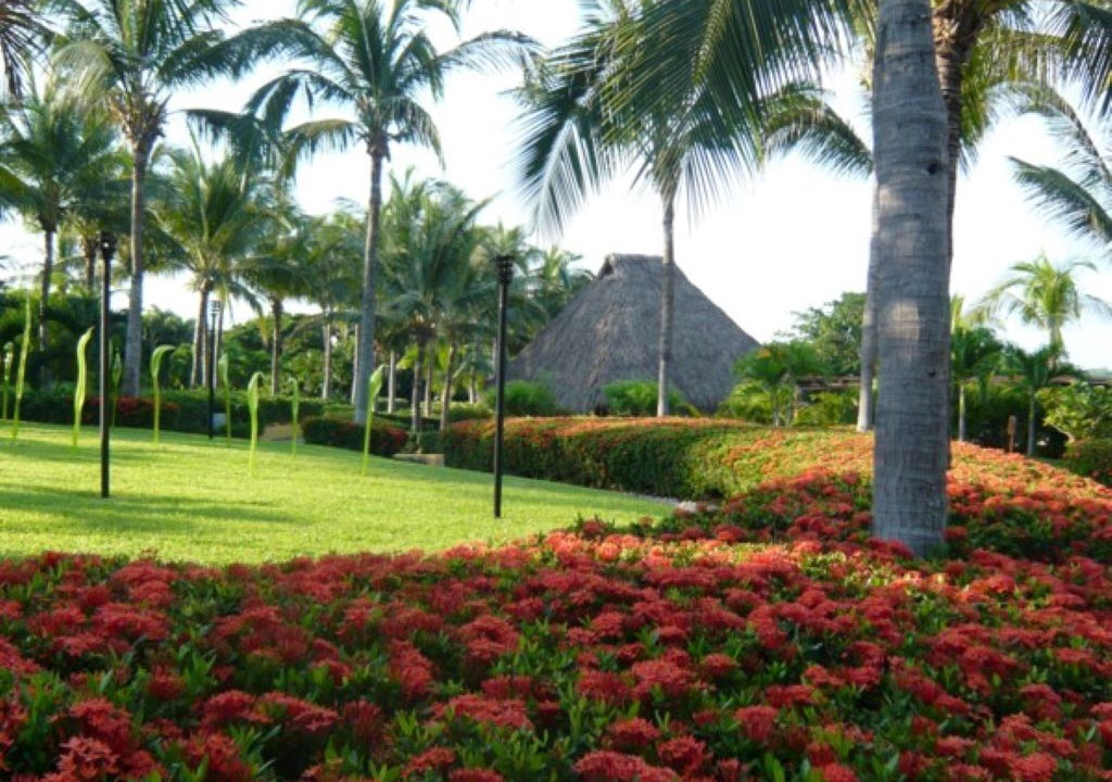 Photo of Outdoor in Punta de Mita