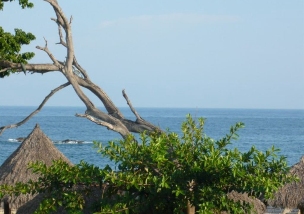 Photo of Outdoor in Punta de Mita
