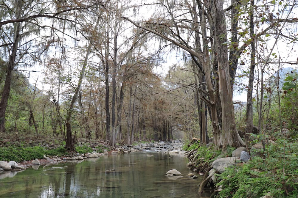 Photo of Outdoor in Monterrey