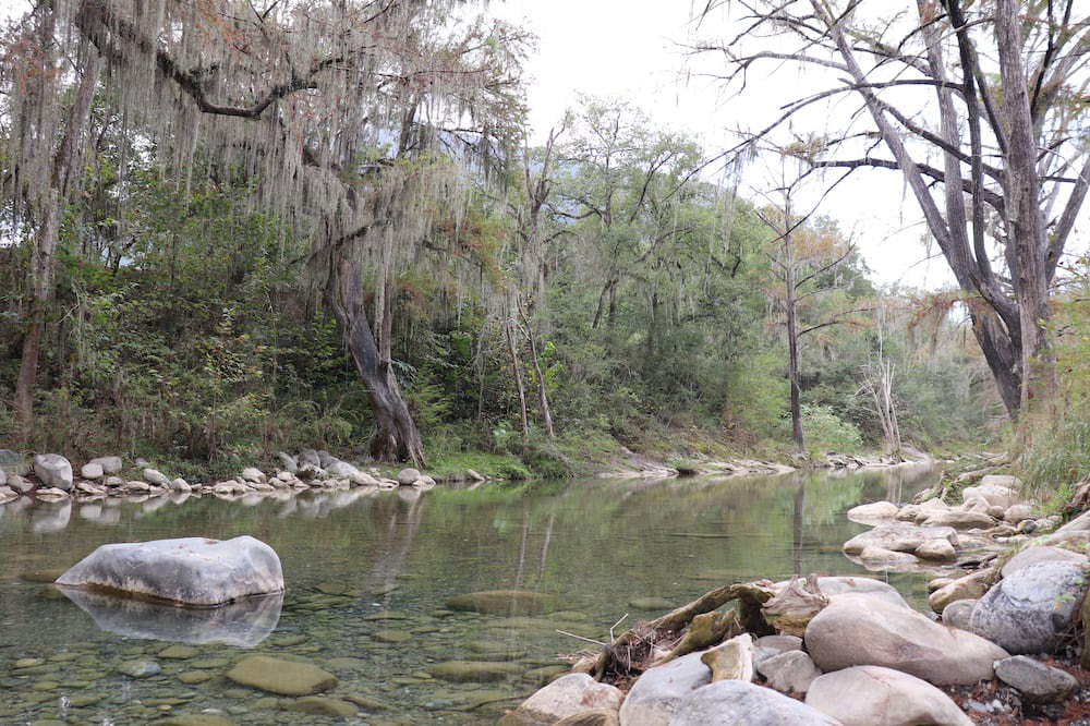 Photo of Outdoor in Monterrey