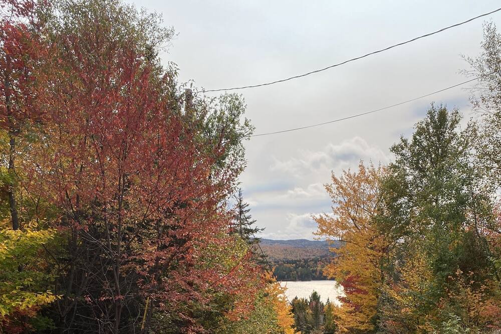 Photo of Others in Rangeley