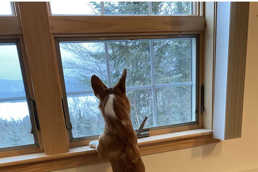 Photo of Others in Rangeley
