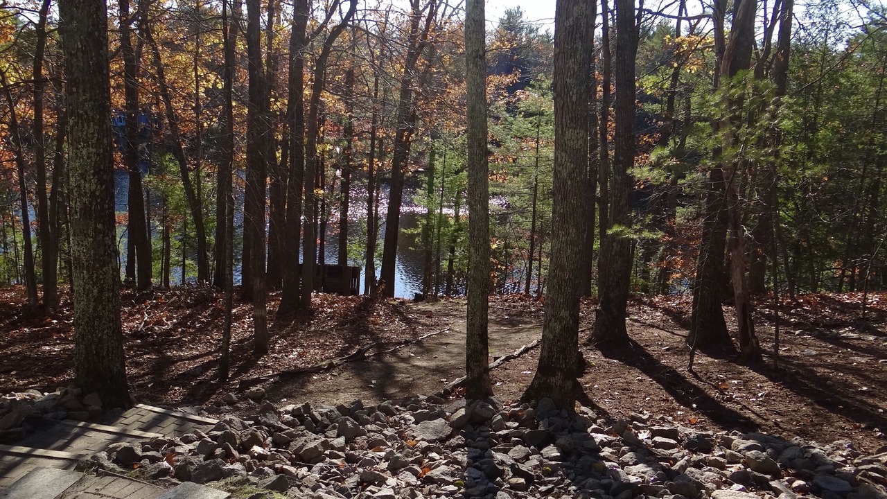 Photo of Outdoor in Alfred