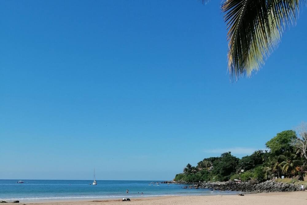 Photo of Others in Chacala