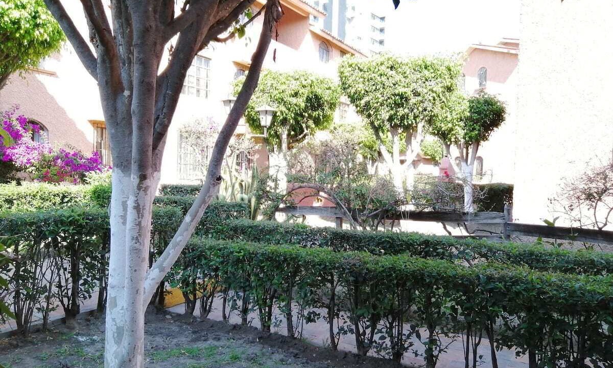 Photo of Outdoor in zona dos extendida
