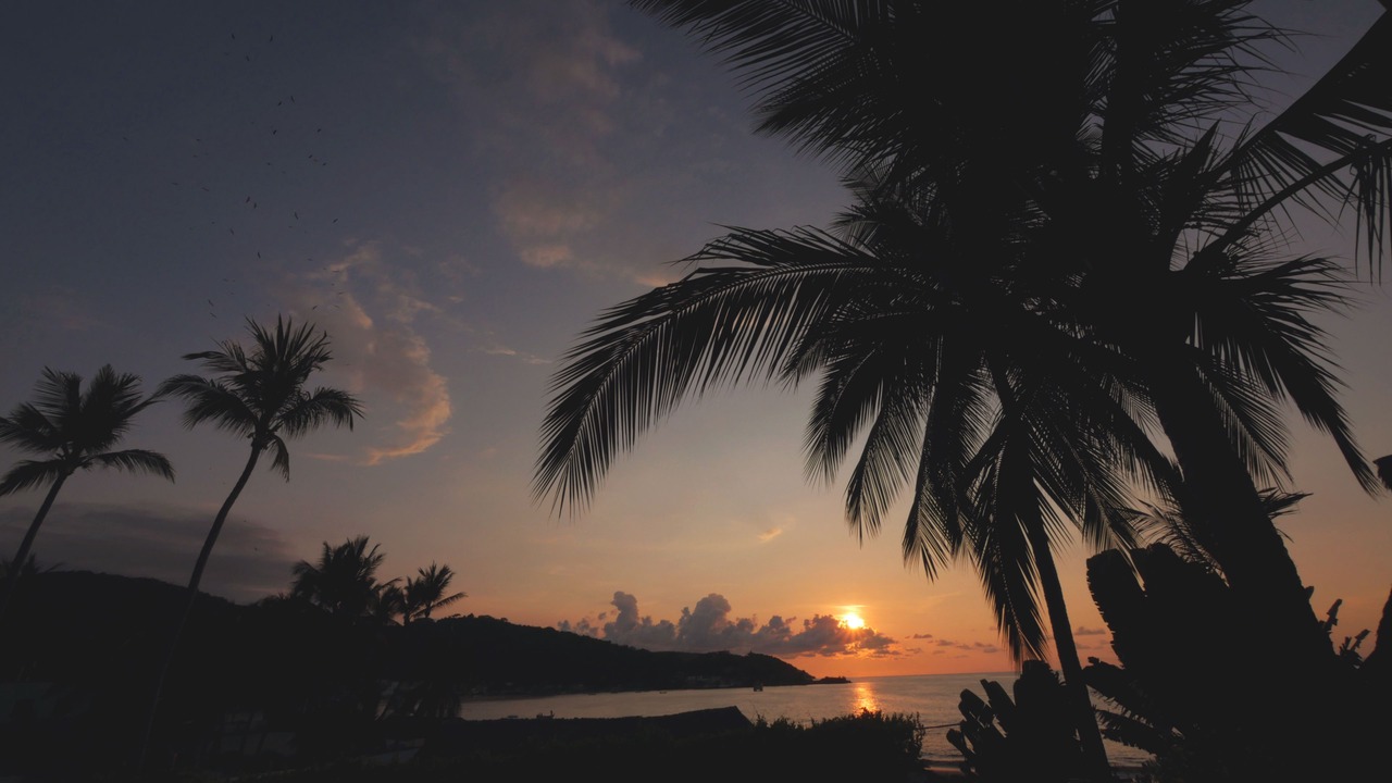 Photo of Others in Rincon de Guayabitos