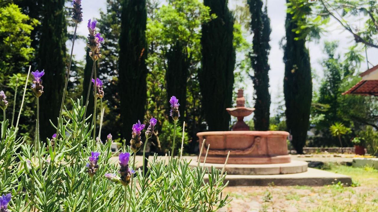 Photo of Outdoor in San Miguel de Allende