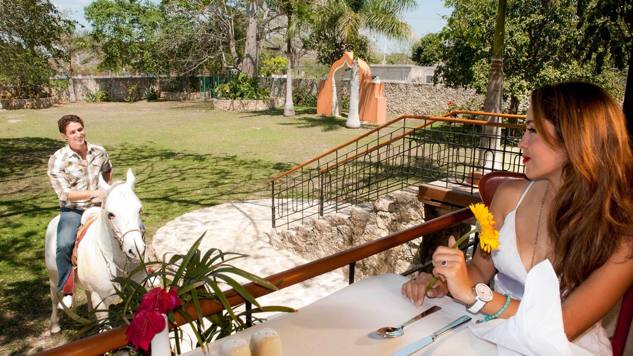 Photo of Others in Merida Municipality