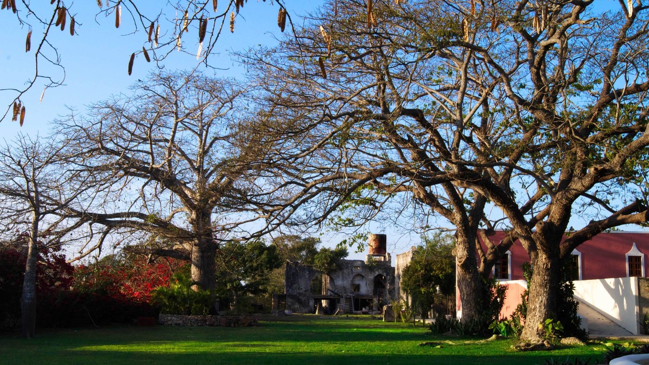 Photo of Outdoor in Merida Municipality